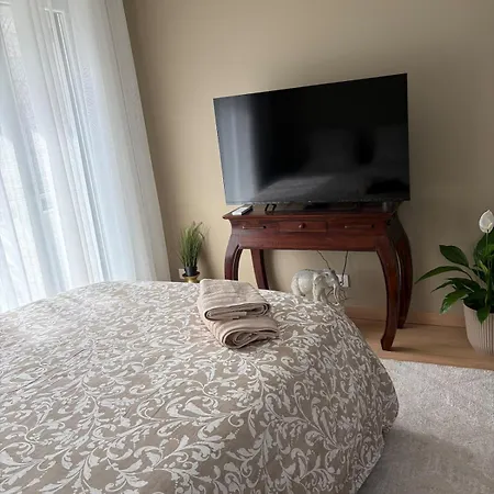 Confort & Chaleureux Proche Centre Appartement Grenoble