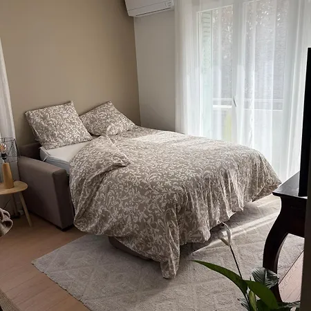 Appartement Confort & Chaleureux Proche Centre Grenoble